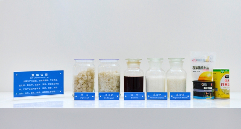 盐产品
